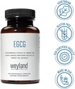 egcg-green-tea-extract-high-antioxidant--6.jpg
