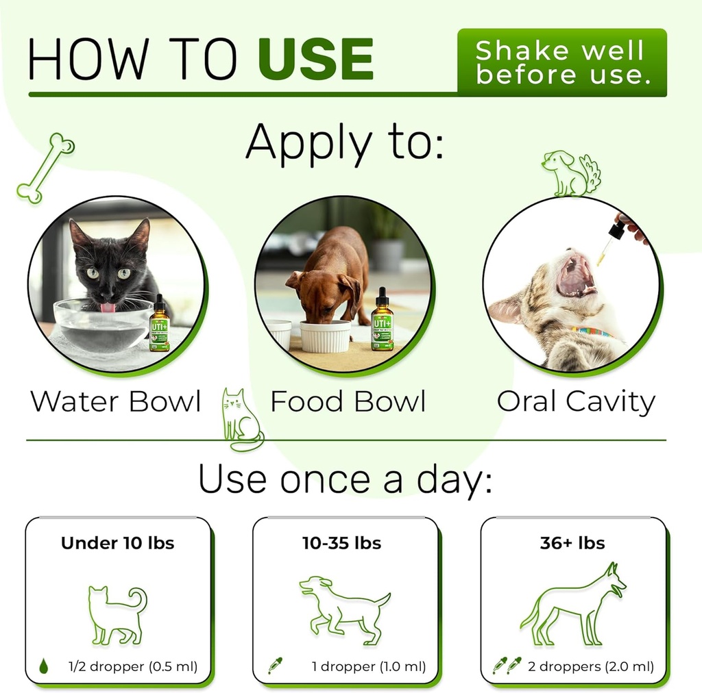 cat-uti-treatment-to-care-for-kidneys-an-4.jpg