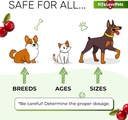 cat-uti-treatment-to-care-for-kidneys-an-5.jpg