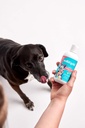 solid-gold-fish-oil-for-dogs-cats---wild-6.jpg