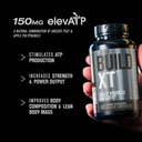 jacked-factory-nitrosurge-pre-workout-in-3.jpg