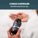 ancient-nutrition-probiotics-sbo-probiot-6.jpg