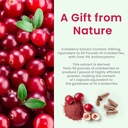kidney-cleanse-detox-repair-extra-streng-4.jpg