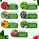 kidney-cleanse-detox-repair-extra-streng-5.jpg