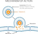 vitamin-c-liposomal-500mg-zinc-enhance-t-3.jpg