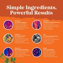 potent-daily-multivitamin-gummies-for-ad-4.jpg