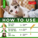 natural-antibiotics-for-dogs-to-help-wit-5.jpg