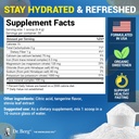dr-berg-zero-sugar-hydration-keto-electr-3.jpg