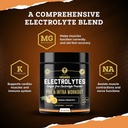 mma-nutrition-hrdwrk---100-servings-keto-4.jpg