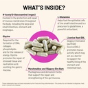 mountain-peak-nutritionals-acid-assist-f-4.jpg
