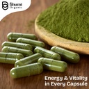moringa-powder-capsules---800mg-of-pure--3.jpg