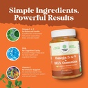 vegetarian-omega-3-gummies-for-adults----4.jpg
