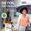 wild-organic-cilantro-tincture---herbal--2.jpg