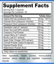 water-away-gentle-herbal-diuretic---natu-6.jpg