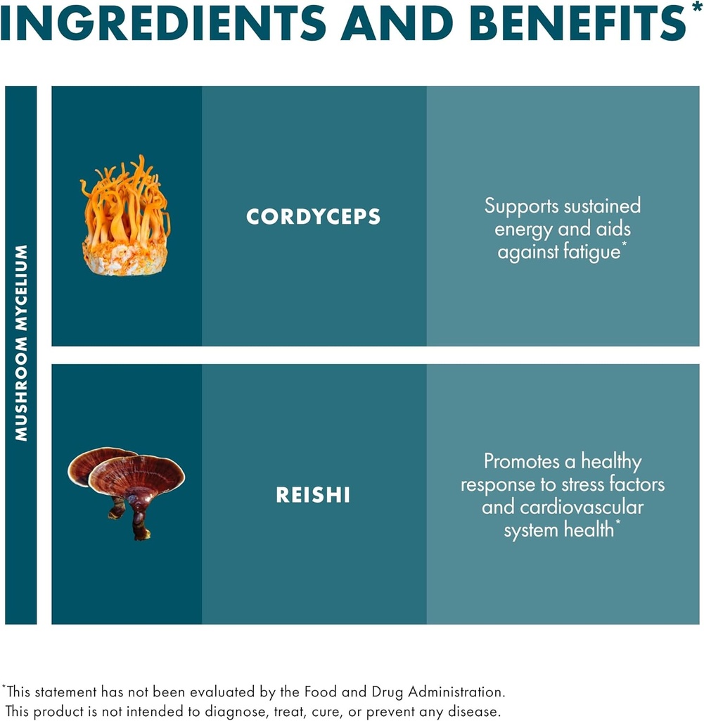 host-defense-cordychi-capsules---energy--6.jpg