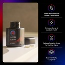 mitoq-pure-advanced-mitochondria-supplem-2.jpg