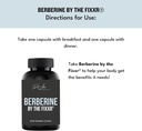 berberine-hci-by-dr-amie-1200-mg-berberi-5.jpg