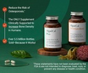 algaecal-bundle---bone-builder-pack-calc-2.jpg