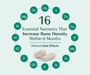 algaecal-bundle---bone-builder-pack-calc-3.jpg