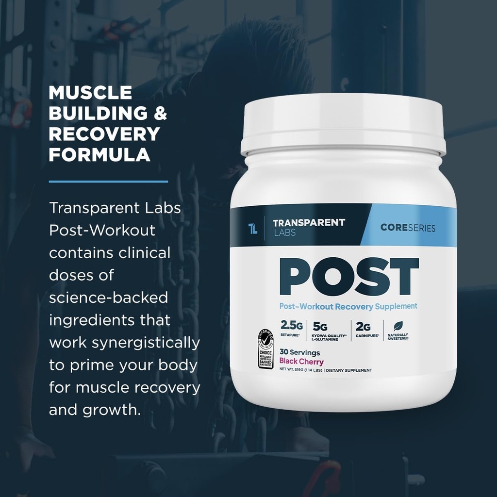 transparent-labs-post---post-workout-rec-4.jpg