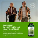 swanson-hawthorn-berry---antioxidant-cir-6.jpg