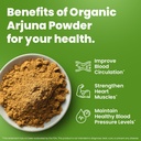 siddhayu-organic-triphala-powder---12-oz-5.jpg