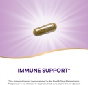 natures-way-premium-extract-andrographis-2.jpg