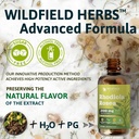4-oz-rhodiola-rosea-supplement-rhodiola--5.jpg