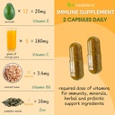 healblend-10-in-1-immune-support-supplem-6.jpg