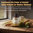 ashwagandha-capsules-organic-1000mg-90-c-3.jpg