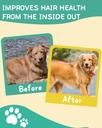 omega-3-for-dogs---dog-skin-and-coat-sup-6.jpg