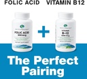 earths-splendor-folic-acid-800-mcg-suppl-5.jpg