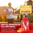 vegan-omega-3-vitamin-b12-gummy-algae-om-3.jpg