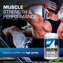 gat-sport-creatine-monohydrate-300-gram--2.jpg