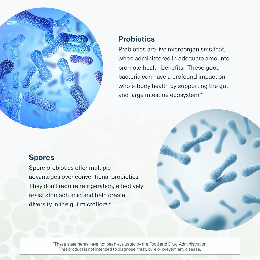 youtheory-spore-probiotic-powder---vegan-5.jpg
