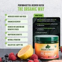 usda-organic-pre-workout-powder-strawber-3.jpg