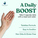 american-standard-supplements-digestive--4.jpg