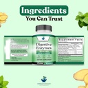 american-standard-supplements-digestive--6.jpg