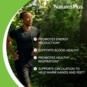 naturesplus-iron---40-mg-90-tablets---ve-4.jpg