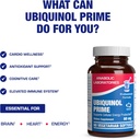 ultra-absorption-ubiquinol-coq10-supplem-5.jpg