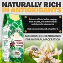 pon-lee-brazil-green-bee-propolis-liquid-2.jpg