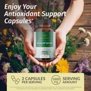 herbamama-broccoli-sprout-and-milk-thist-2.jpg