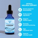 absonutrix-l-carnosine---583-mg-4-oz-bot-4.jpg