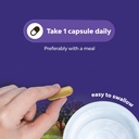 black-elderberry-capsules-antioxidant-su-6.jpg