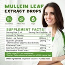 2-pack-98-absorption-mullein-drops-for-l-3.jpg