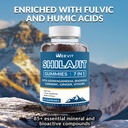 shilajit-gummies-sugar-free-shilajit-gum-4.jpg