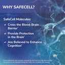 tesseract-medical-research-safecell-s-ac-5.jpg