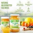 wildcrafted-irish-sea-moss-gel-made-in-u-3.jpg