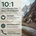 jungle-powders-organic-wild-bilberry-ext-3.jpg