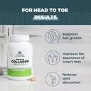 ancient-nutrition-vegetarian-collagen-pe-4.jpg